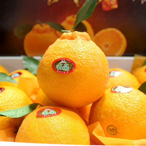 한라봉 5kg(중사이즈)