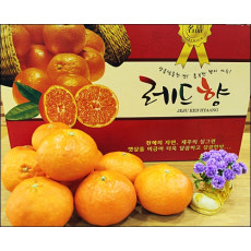 레드향 가정용5kg